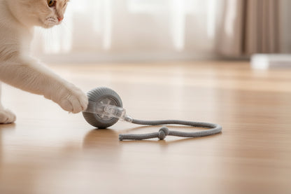 Palla Giocattolo Interattiva per Gatti - Super Drive Rolling Ball Automatica